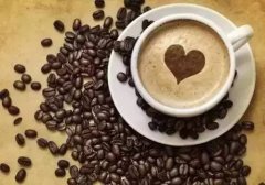 哥斯达黎加圣罗曼庄园单品咖啡怎么样 圣罗曼庄园单品咖啡豆多少