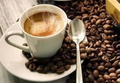 哥斯达黎加圣罗曼庄园咖啡产区介绍 圣罗曼庄园咖啡豆海拔多少