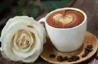 哥斯达黎加圣罗曼庄园咖啡的特色 圣罗曼庄园的咖啡种类介绍