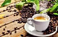 巴拿马埃斯美拉达庄园咖啡豆特点是什么 埃斯美拉达庄园咖啡多少
