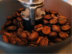 巴拿马凯撒路易斯庄园咖啡的特色 凯撒路易斯庄园的咖啡种类介绍