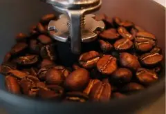 巴拿马凯撒路易斯庄园咖啡的特色 凯撒路易斯庄园的咖啡种类介绍