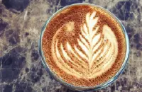 巴拿马艾丽达庄园单品咖啡怎么样 艾丽达庄园单品咖啡豆多少种风