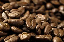 哥伦比亚咖啡豆种植生产过程