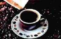 萨尔瓦多茶花女庄园单品咖啡怎么样 茶花女庄园单品咖啡豆多少种