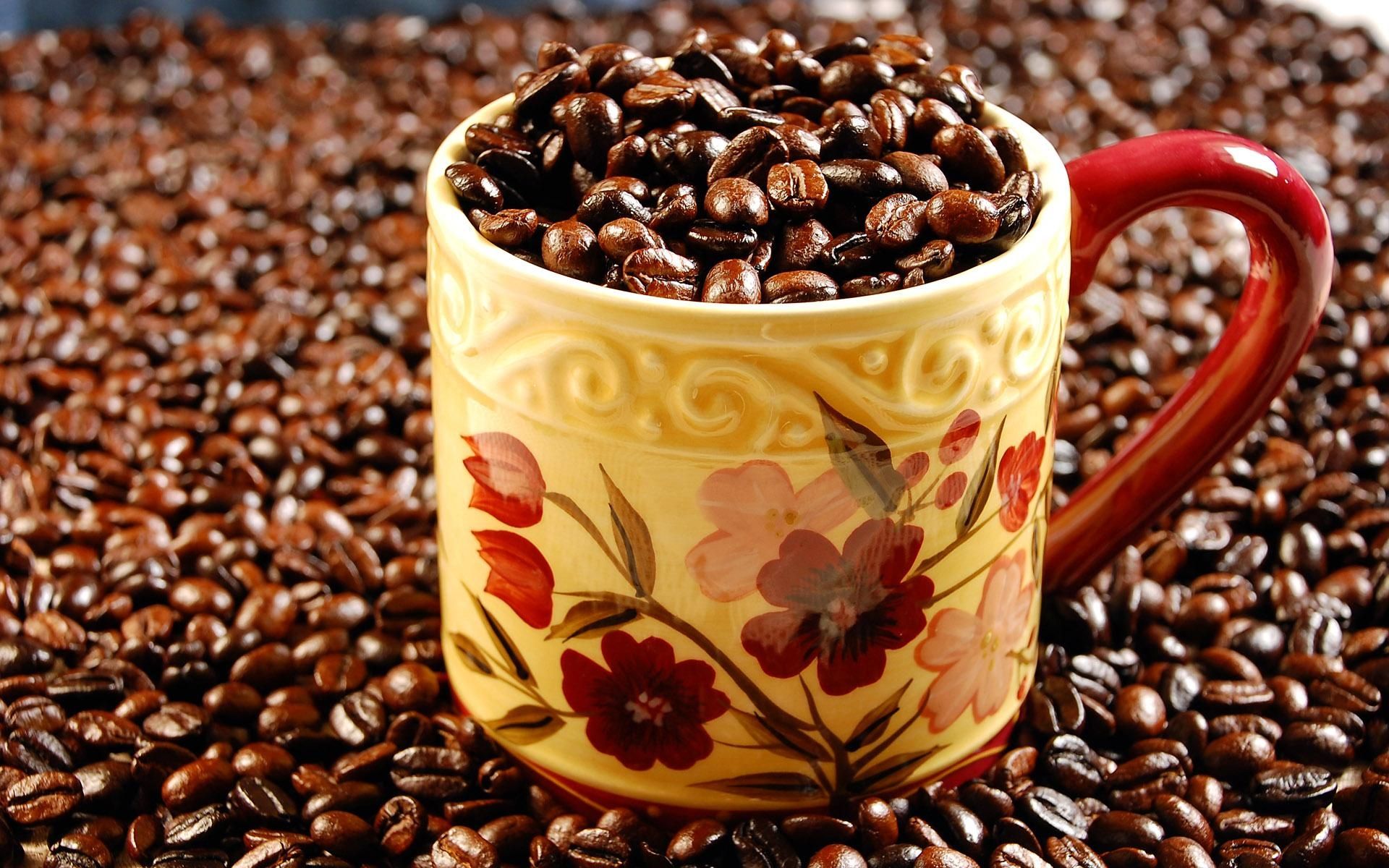 什么是摩卡咖啡，也门咖许？