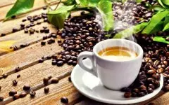 萨尔瓦多雷纳斯庄园单品咖啡怎么样 雷纳斯庄园单品咖啡豆多少种