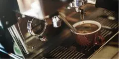 牙买加克利夫庄园咖啡的特色 克利夫庄园的咖啡种类介绍