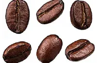 阿里山玛翡咖啡简介，阿里山玛翡咖啡的功效