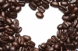 阿里山玛翡咖啡风味描述，阿里山玛翡咖啡的历史