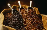 拉丁美洲咖啡各个品种产区风味简介