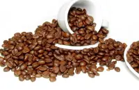 阿拉比卡咖啡外形口感特征概述