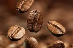 安哥拉种植咖啡豆历史介绍