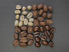 巴布亚新几内亚天堂鸟庄园咖啡豆特点是什么 天堂鸟庄园咖啡多少