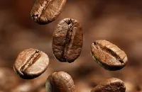 非洲肯尼亚咖啡豆品种等级产地信息气候条件地理环境介绍