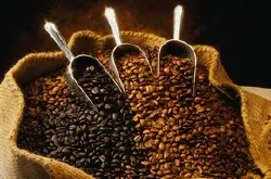 巴西咖啡产区海拔种植特点等级简介 巴西咖啡豆风味口感描述