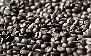 怎样判断巴西咖啡豆新鲜度