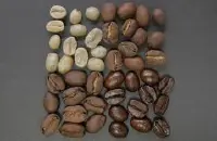牙买加亚特兰大庄园单品豆差别、区分及获奖情况