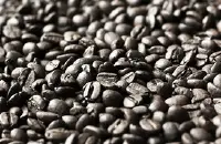 瓜地马拉微微特南果波旁咖啡豆介绍