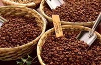 埃塞俄比亚咖啡豆种植海拔介绍