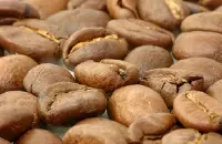厄瓜多尔加拉帕戈斯岛咖啡豆口感气味风味