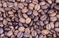 玻利维亚咖啡的产地特色