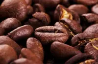 铁皮卡咖啡豆种类介绍