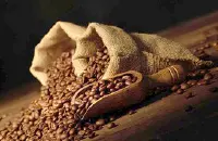 埃塞俄比亚耶加雪菲沃咖啡产区介绍