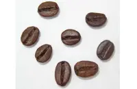 委内瑞拉咖啡豆口感风味描述