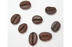 云南咖啡跻身国际一流行业