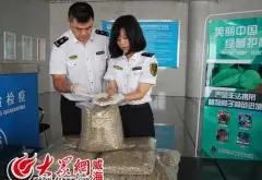 咖啡生豆还能发芽？旅客携带60公斤生咖啡豆入境被退运