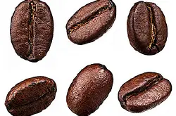 咖啡豆是怎么长出来的