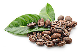 雀巢支持云南咖啡产业