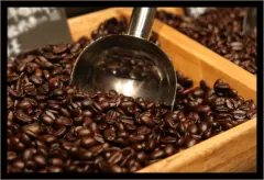 乞力马扎罗咖啡单品豆差别、区分及获奖情况