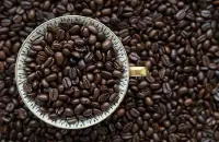 哥伦比亚阿拉比卡咖啡豆介绍