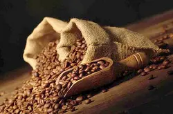 巴拿马咖啡豆种植区介绍