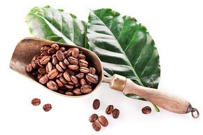 夏威夷产的科纳(Kona)咖啡豆的特征