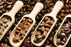 听过那么多“浅烘”“深烘” 其实什么是咖啡烘焙 咖啡豆烘焙特点