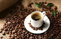 卡蒂姆咖啡豆风味描述产地区种植发展简介