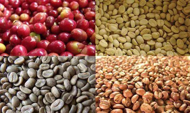 夏威夷Kona咖啡豆细分为五级