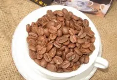 不同咖啡滤杯冲煮的咖啡风味区别