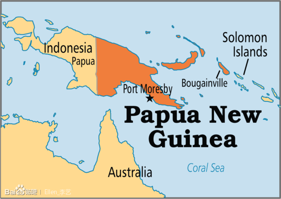 巴布亚新几内亚PNG天堂鸟西格里Sigri优质水洗阿拉比卡豆子铁皮卡