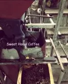 埃塞俄比亚-水洗 古籍咖啡风味口感香气描述