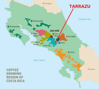 哥斯达黎加塔钻石系列拉珠米拉苏蜜处理瑰夏咖啡豆故事和风味特点