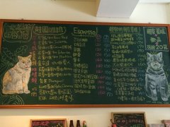 【猫开店】阿万&大宝顾店中——咖啡实验室