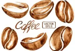科学解读：咖啡因与味觉的关系