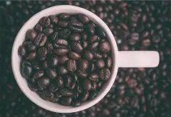 如果咖啡豆出油就表示已经不新鲜？你可能误会了～