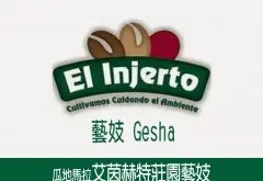 危地马拉 艾茵赫特庄园 Gesha咖啡风味口感香气描述