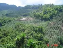 危地马拉薇薇特南果 樱禾达庄园 雨林联盟认证咖啡风味口感香气描