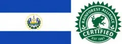 萨尔瓦多 圣依莲纳庄园 雨林联盟认证咖啡风味口感香气描述